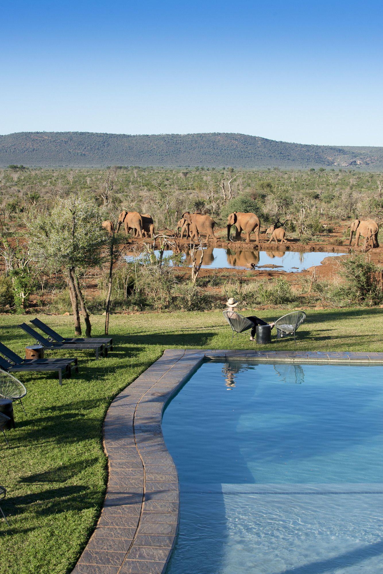 שמורת הציד מאדיקווה Madikwe Safari Lodge מראה חיצוני תמונה