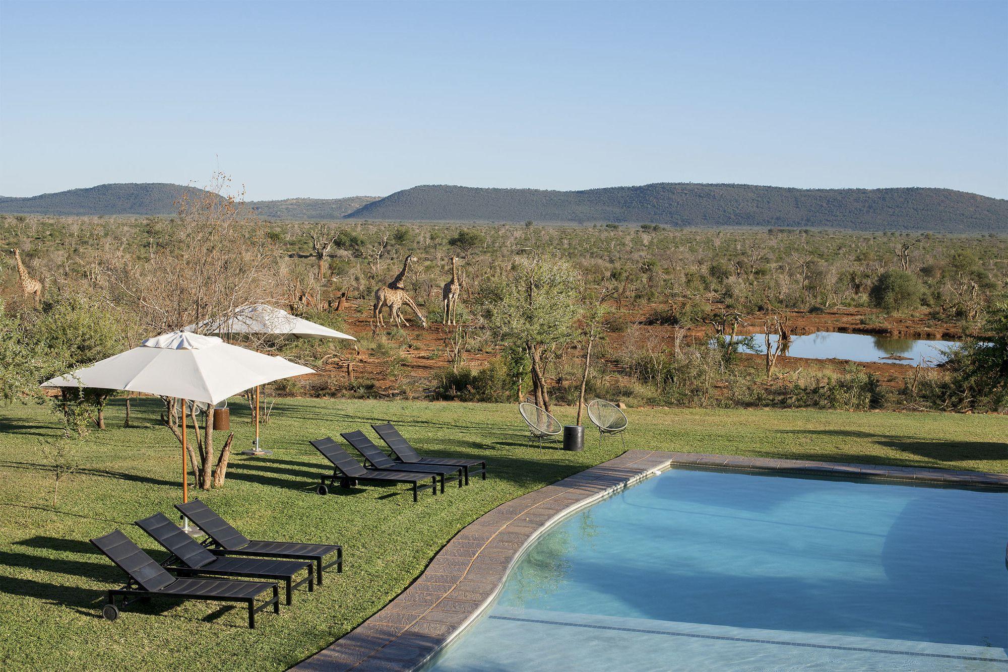שמורת הציד מאדיקווה Madikwe Safari Lodge מראה חיצוני תמונה