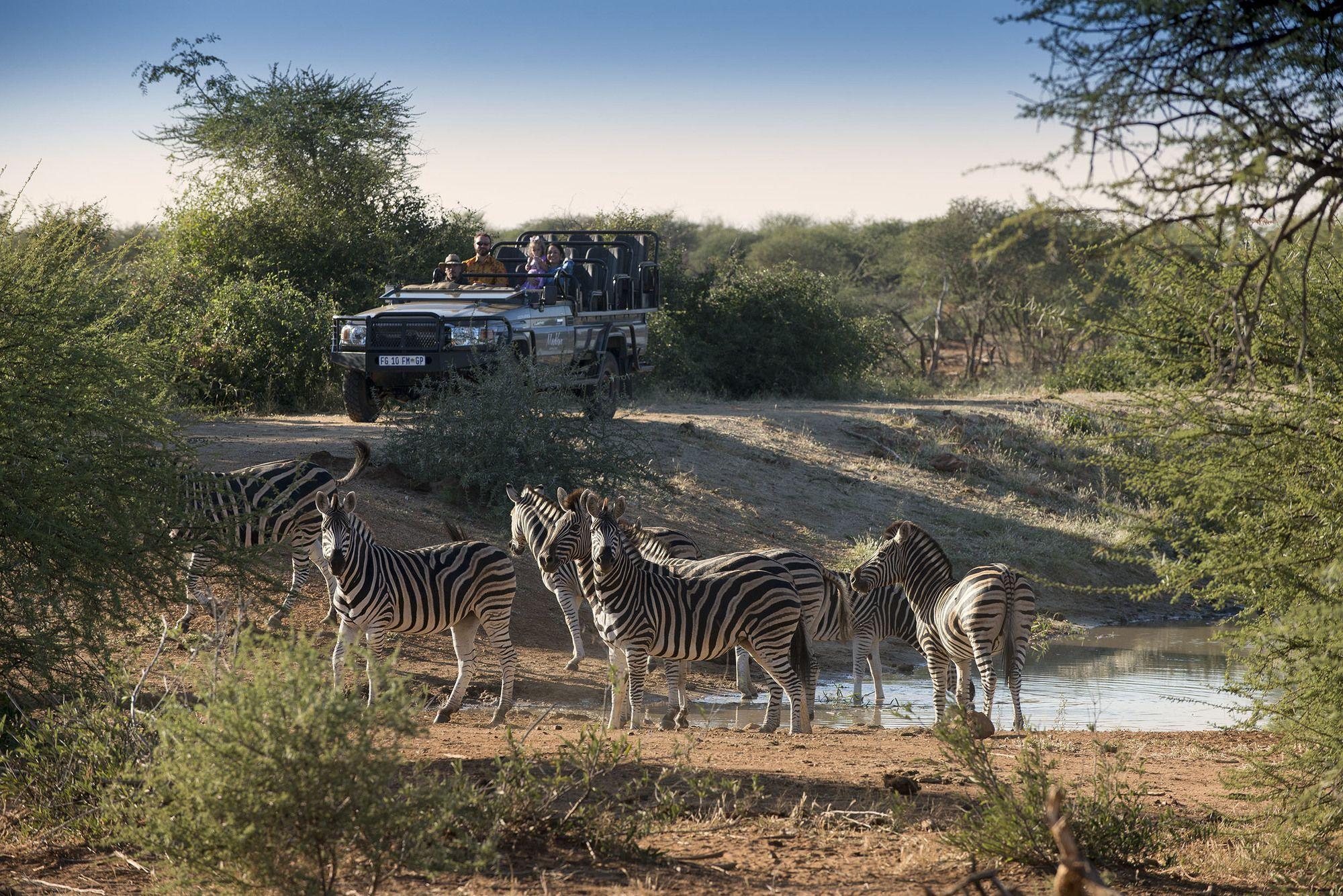 שמורת הציד מאדיקווה Madikwe Safari Lodge מראה חיצוני תמונה